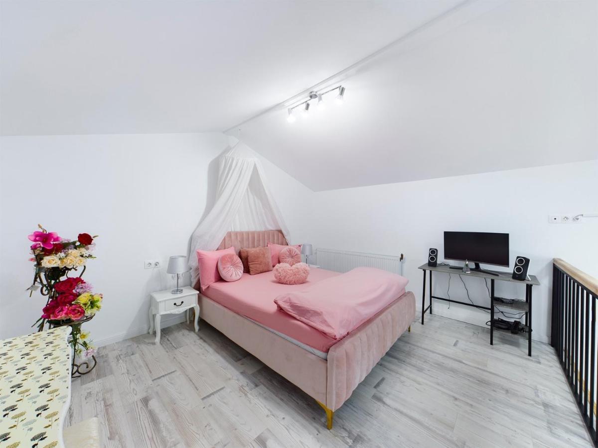 Consuela Apartment Feleacu